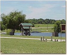 Fairview Heights picnic